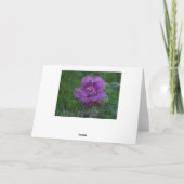 Lavendarバラ/Get Well カード (裏面)