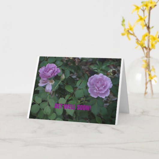 Lavendarバラ/Get Well カード (黄色い花)