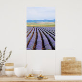 Lavendarフィールド ポスター (キッチン)