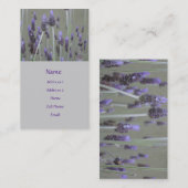 lavendar花- 名刺 (正面/裏面)