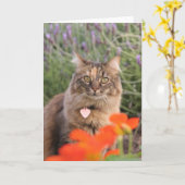 Lavendar、キンレンカおよびTortoiseshell猫 カード (黄色い花)