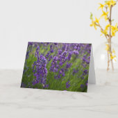 Lavendar | Lavendel カード (黄色い花)