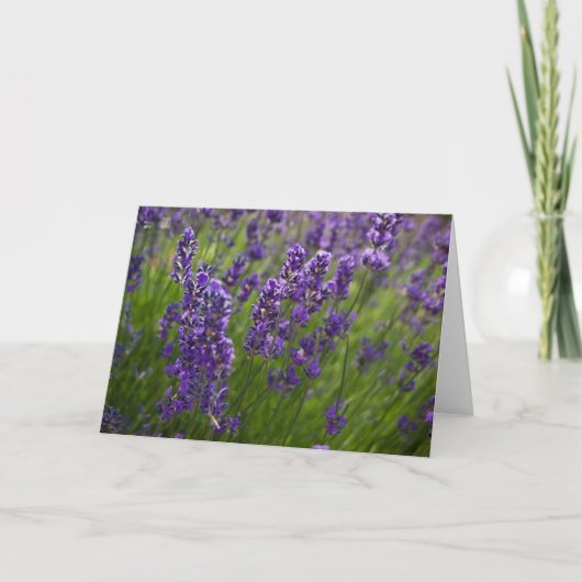 Lavendar | Lavendel カード (正面)