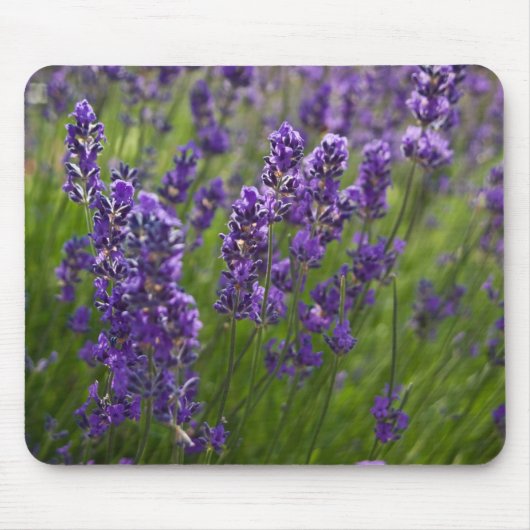 Lavendar | Lavendel マウスパッド (正面)