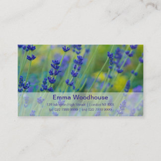 Lavendar | Lavendel 名刺
