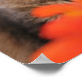 Lavendar, Nasturtium, and a Tortoiseshell Cat ポスター (角)