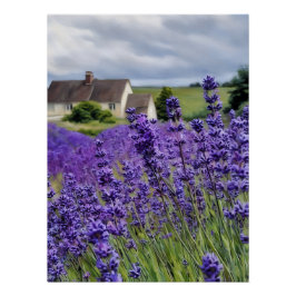 Lavender dreams ポスター