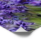 Lavender dreams ポスター (コーナー)