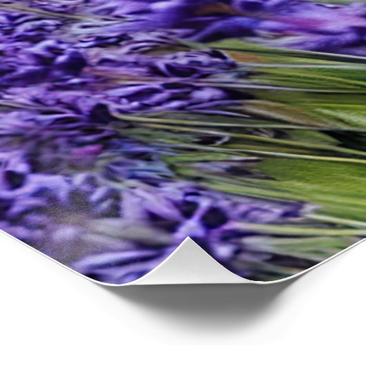 Lavender dreams ポスター (コーナー)