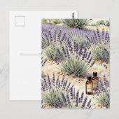 Lavender Field Essential Oil Watercolor Pattern ポストカード (正面/裏面)