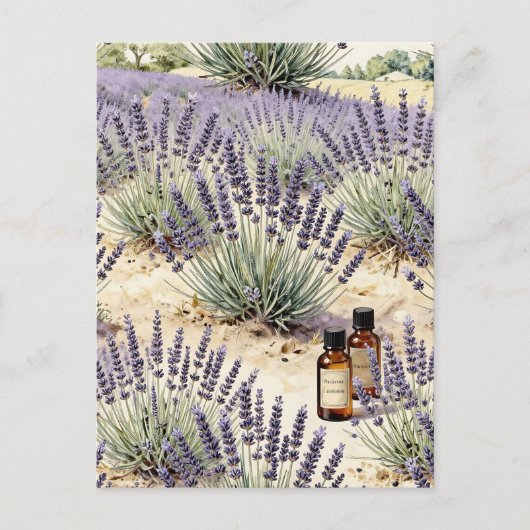 Lavender Field Essential Oil Watercolor Pattern ポストカード (正面)