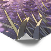 Lavender Field Sunset Poster ポスター (角)