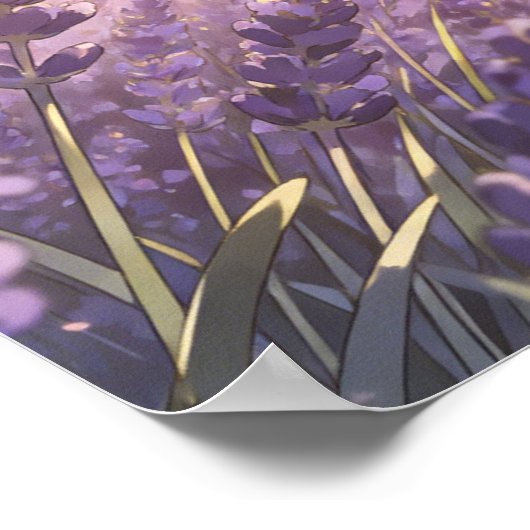 Lavender Field Sunset Poster ポスター (角)