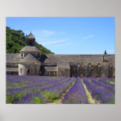 Lavender Fields of Senanque Abbey Poster ポスター (正面)