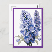 LAVENDER FLOWERS #1 ポストカード (正面/裏面)