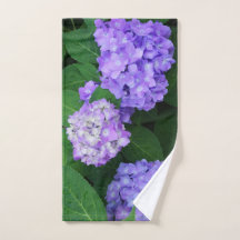Lavender Hydrangea