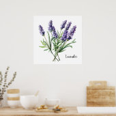 Lavender Illustration Botanical Poster ポスター (キッチン)