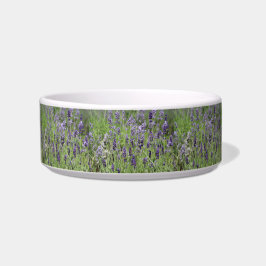 Lavender Pet Bowl ボウル