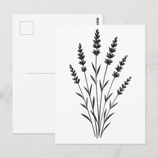 Lavender Sprigs – Minimalist Botanical Design on ポストカード (正面/裏面)