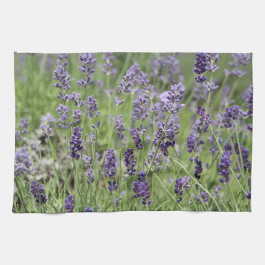 Lavender Towel キッチンタオル (横)