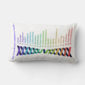 Law of Attraction Emotional Guidance Chart ランバークッション (裏面)