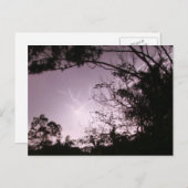 Lawnton上の稲妻 ポストカード (正面/裏面)