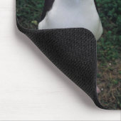 Laysanのアホウドリの地位 マウスパッド (コーナー)