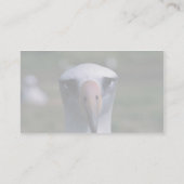 Laysanのアホウドリ 名刺 (裏面)