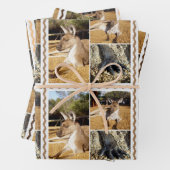 Lazing Kangarooフォトコラージュ、ギフトラップシート、 ラッピングペーパーシート (インサイチュ)