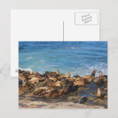 Lazing On A Sunny Afternoon ポストカード (正面/裏面)