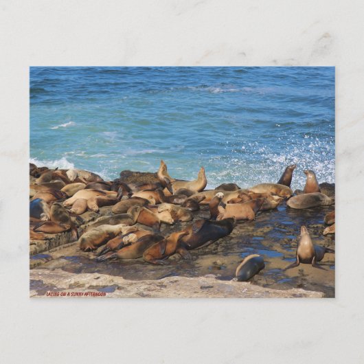 Lazing On A Sunny Afternoon ポストカード (正面)