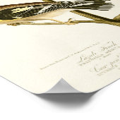 Lazuli Finch John James Audubon Birds of America ポスター (角)