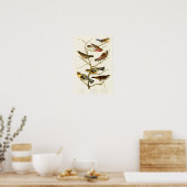 Lazuli Finch John James Audubon Birds of America ポスター (キッチン)