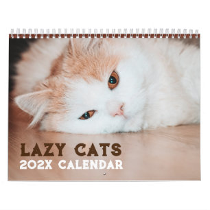 Lazy おもしろい Cats 2025 カレンダー