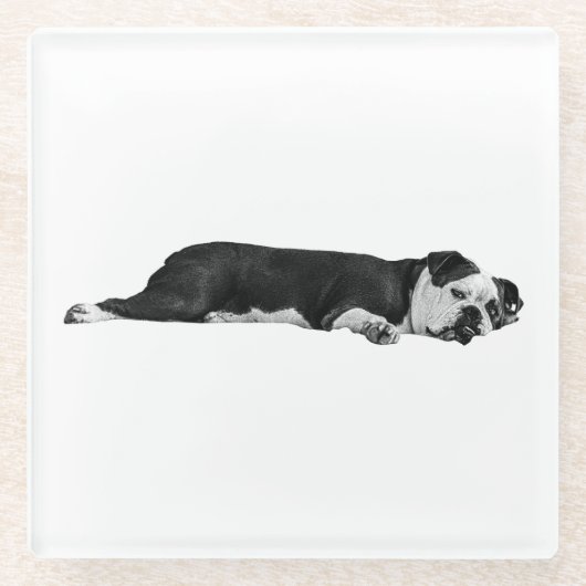 Lazy Bulldog, Neat Table ガラスコースター (正面)