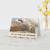 Lazy Cat Philosophy誕生日 カード (黄色い花)