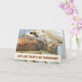 Lazy Cat Philosophy誕生日 カード