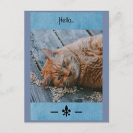 Lazy Cat Say's Helloはがき ポストカード