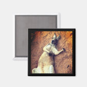 Lazy Days Kangaroo Magnet マグネット (正面/裏面)