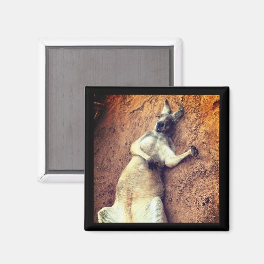 Lazy Days Kangaroo Magnet マグネット (正面/裏面)