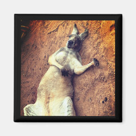 Lazy Days Kangaroo Magnet マグネット