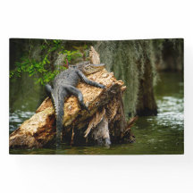 Lazy Gator 4x6バナー