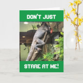 「LAZY IGUANA」与えアドバイスが誕生日 カード (黄色い花)