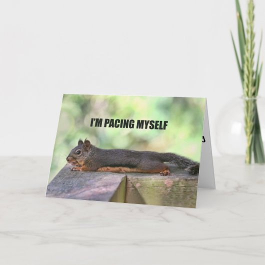 Lazy Squirrel写真 カード (正面)