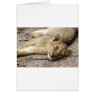 Lazylionの幼いこども