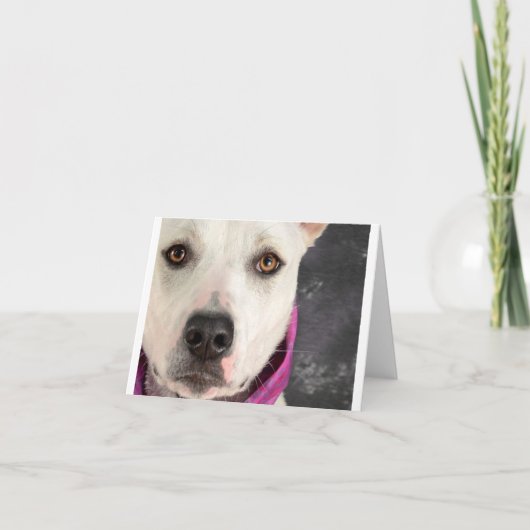 LDDRのメッセージカード カード (正面)