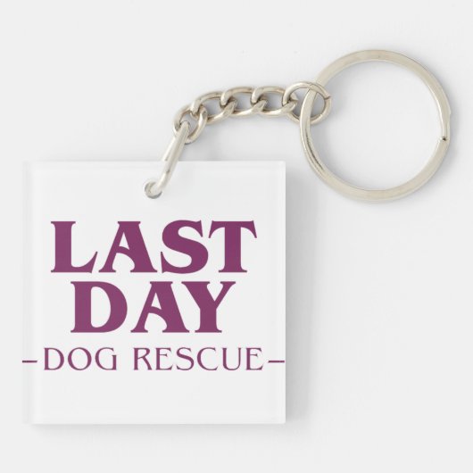 LDDRのロゴのkeychain キーホルダー (裏面)