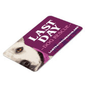 LDDR 4"x 6"ロゴマグネット マグネット (左側)