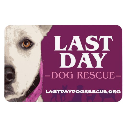 LDDR 4"x 6"ロゴマグネット マグネット (横)