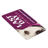 LDDR 4"x 6"ロゴマグネット マグネット (右側)